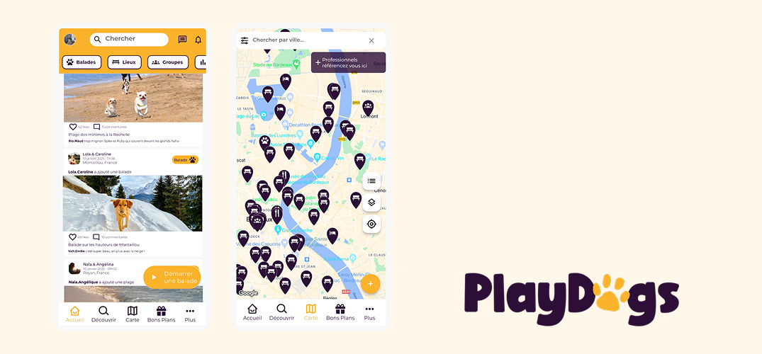 écran lieux dogfrienfly