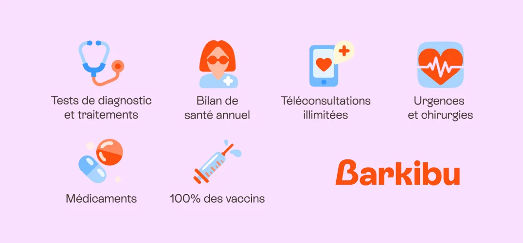 avantages mutuelle barkibu
