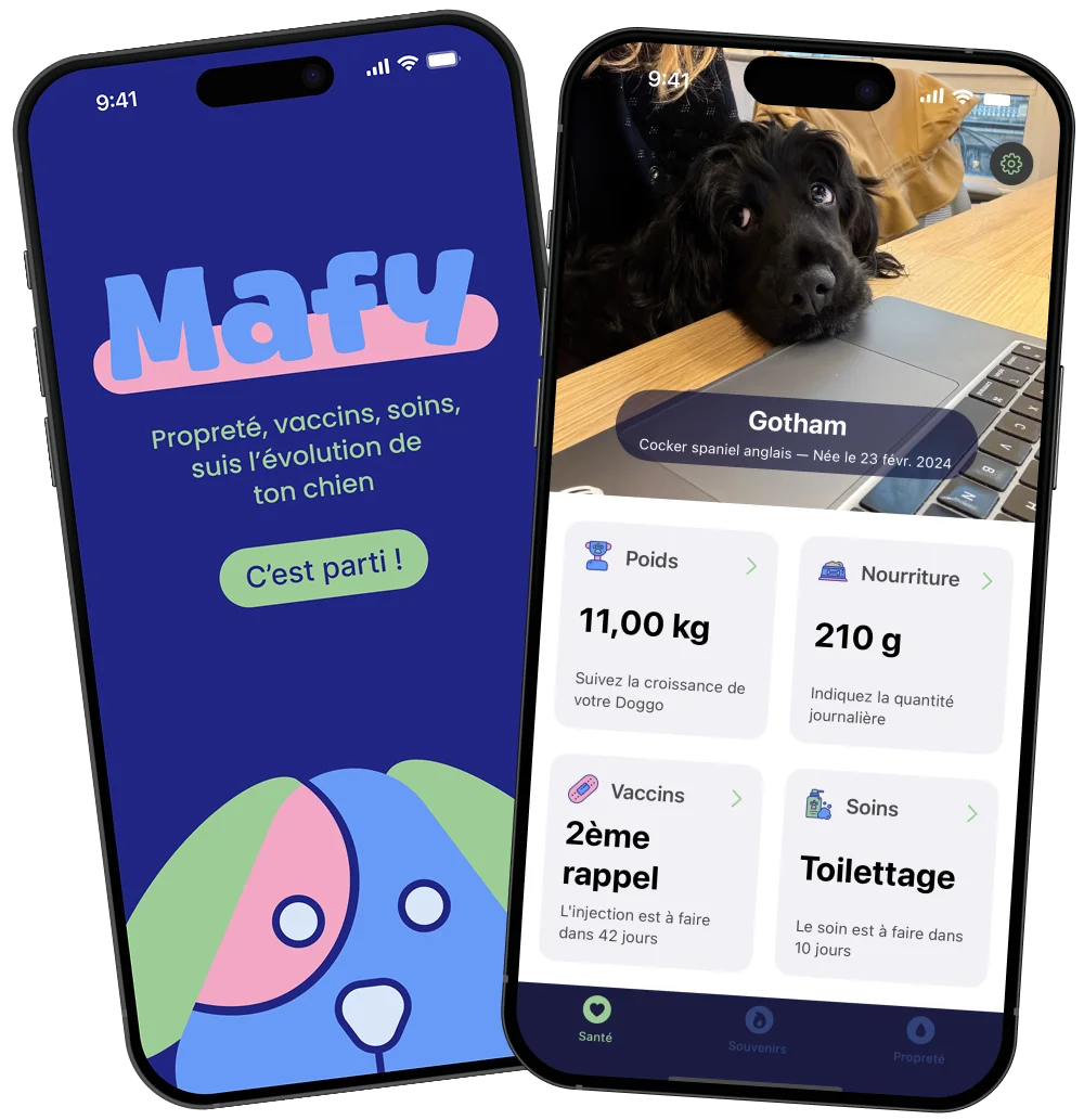 Capture d'écran de Mafy